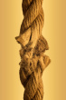 ist1_10580000-to-break-a-rope
